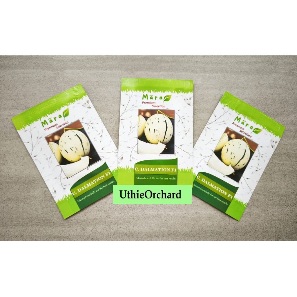 Liceriashop17 Mara Premium Selection - Benih Melon C. Dalmation F1 7 Seeds