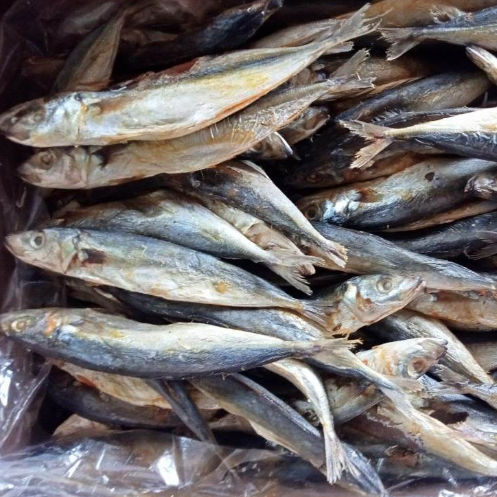 

Ikan Asin Klotok / Ikan Asin Layang / Ikan Asin Pindang