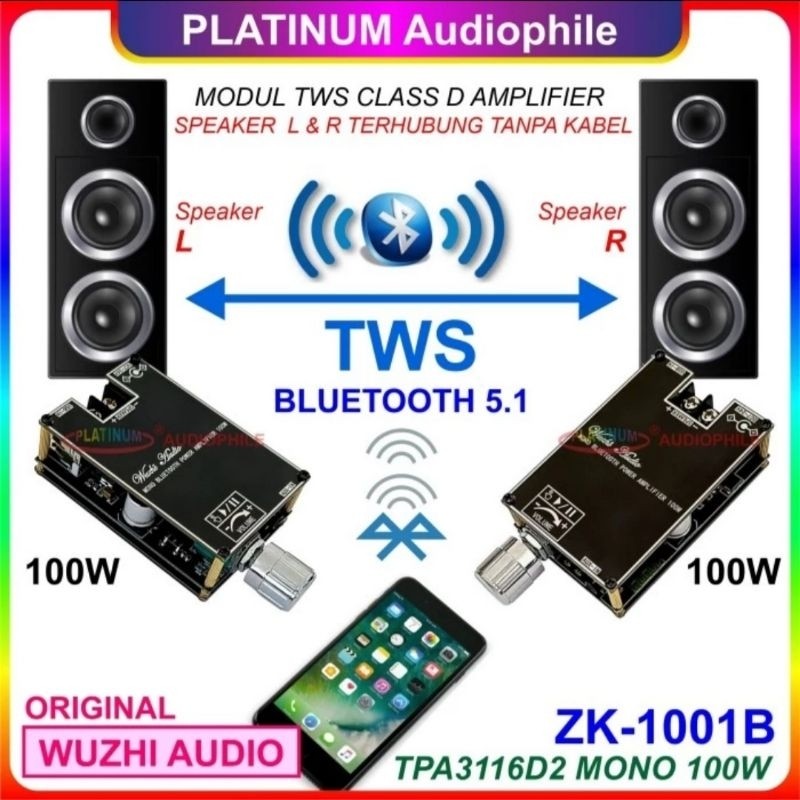 TERLARIS TPA3116 Amplifier Class D 100W TWS Bluetooth 5.1 Hifi Class D Amplifier TPA3116D2 Original 