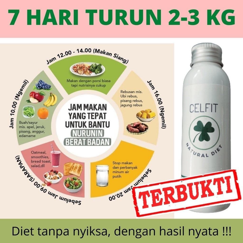 CELFIT Obat Diet Ampuh , Kapsul Pelangsing Perut 100% Herbal - CELFIT NATURAL