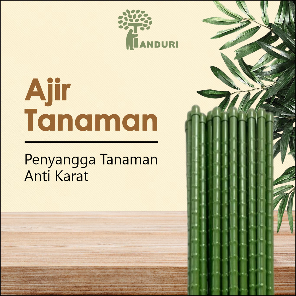 TANDURI - Ajir Tongkat Penyangga Tanaman Ra mbat Ukuran 75 cm Anti Karat ajir tanaman, ajir penyokon