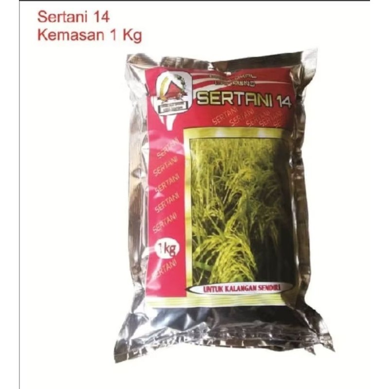 padi sertani 14 kemasan 1kg