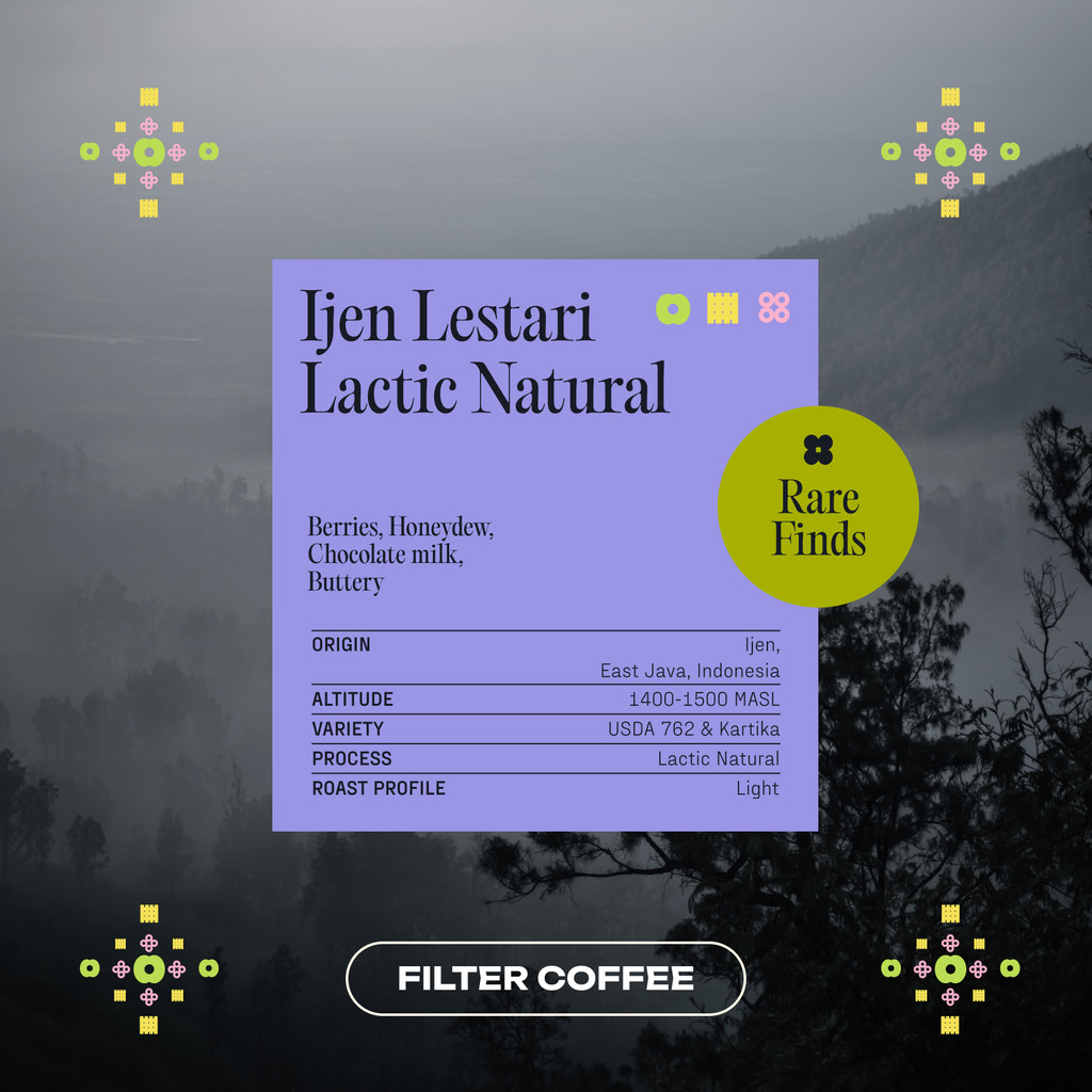 

Biji Kopi Arabika Premium Ijen Lestari - Kopi Arabica Specialty Lactic Natural - Koro Roasters