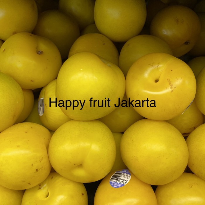 

Green plum fresh | Buah plum green king midas manis | plum hijau 1 kg