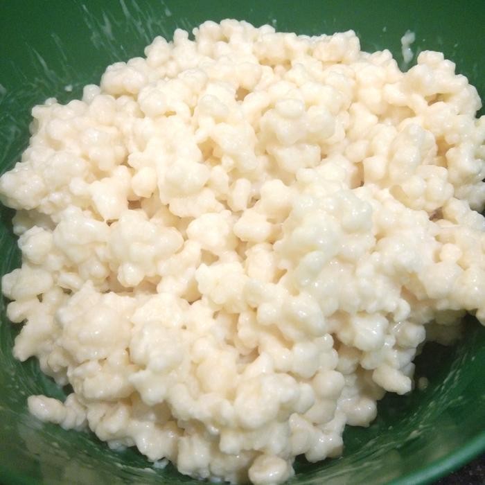 

Grain/Bibit Kefir Susu 50 gram - nextday/reguler