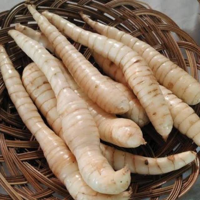 

Ubi Garut Frest
