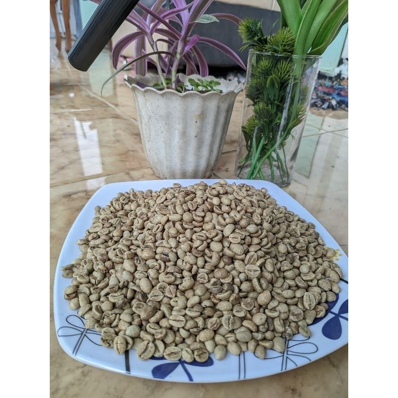 

TERLARIS Greenbean Robusta DAMPIT Grade 1 super KOPI MENTAH
