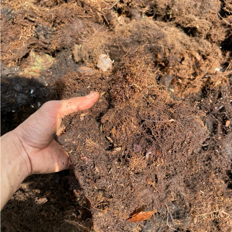 

Promo media tanam akar kadaka 1 kg (sudah bersih / siap pakai )