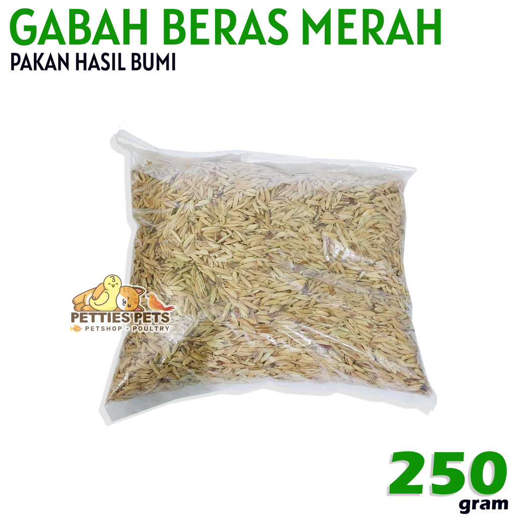 PTS Gabah Padi beras merah pakan ayam jago ayam aduan burung hamster