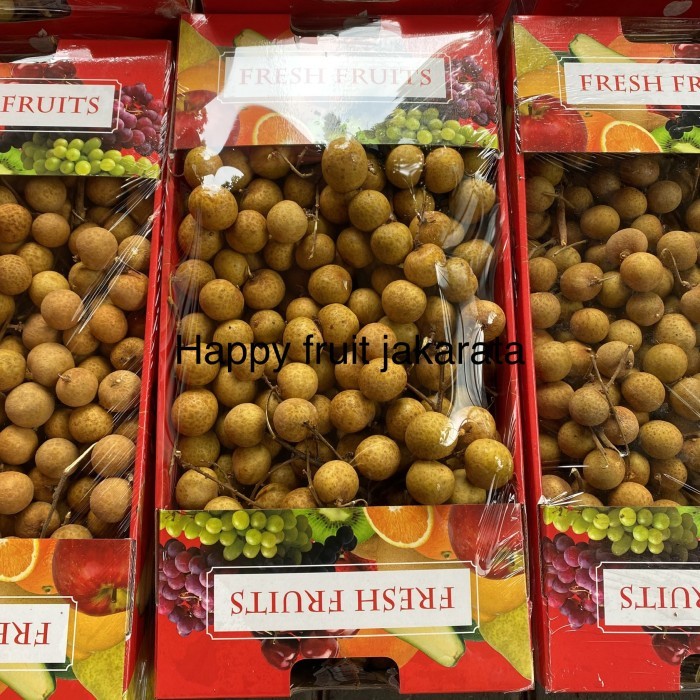 

Promo Lengkeng keranjang | Buah Kelengkeng Bangkok fresh manis 5 kg