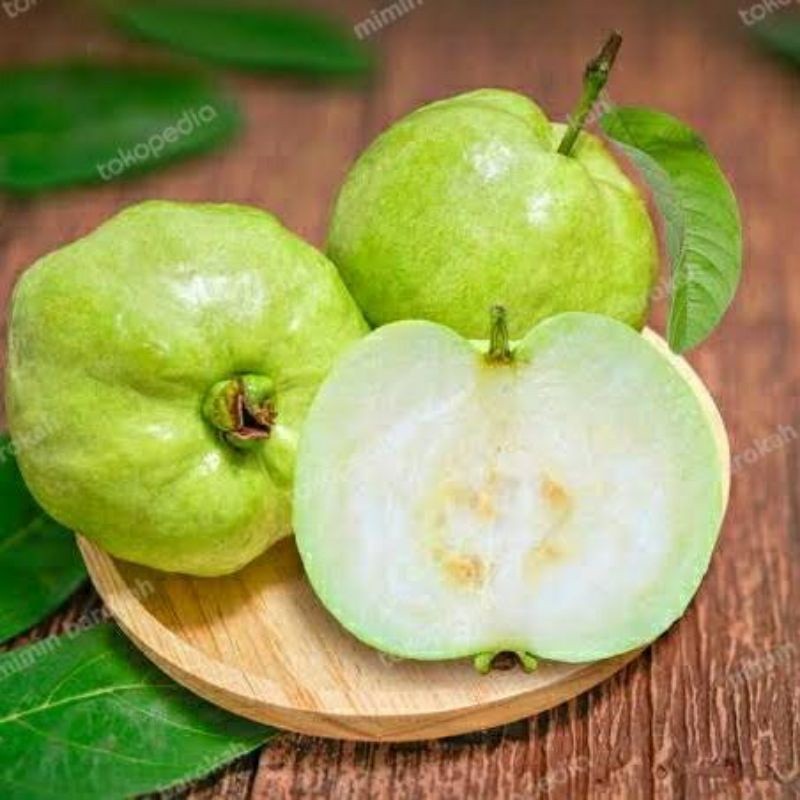 

Jambu Kristal (1Kg)