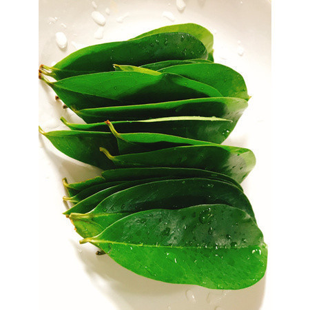 

Daun sirsak 500gr Kondisi Segar ready stok