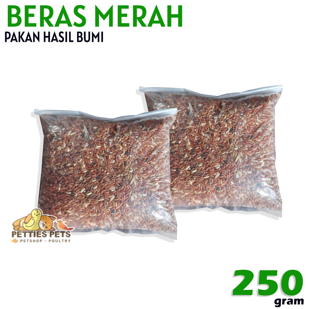 PTS BERAS MERAH PAKAN MAKANAN BURUNG AYAM BANGKOK BERAS MERAH BERSIH