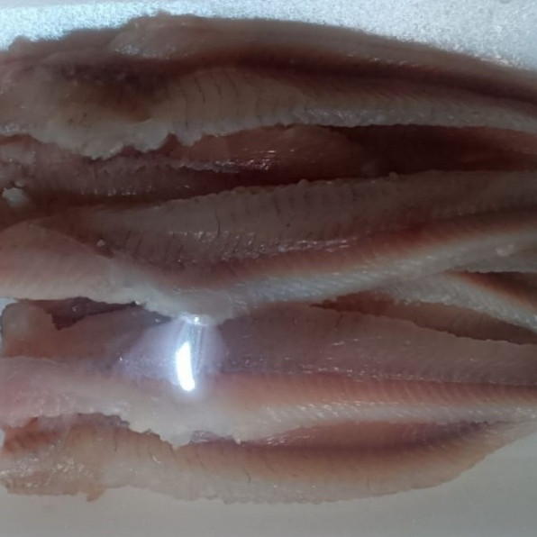 

Filet Ikan Lele 3 Ekor – Ikan Lele Segar dan Siap Olah