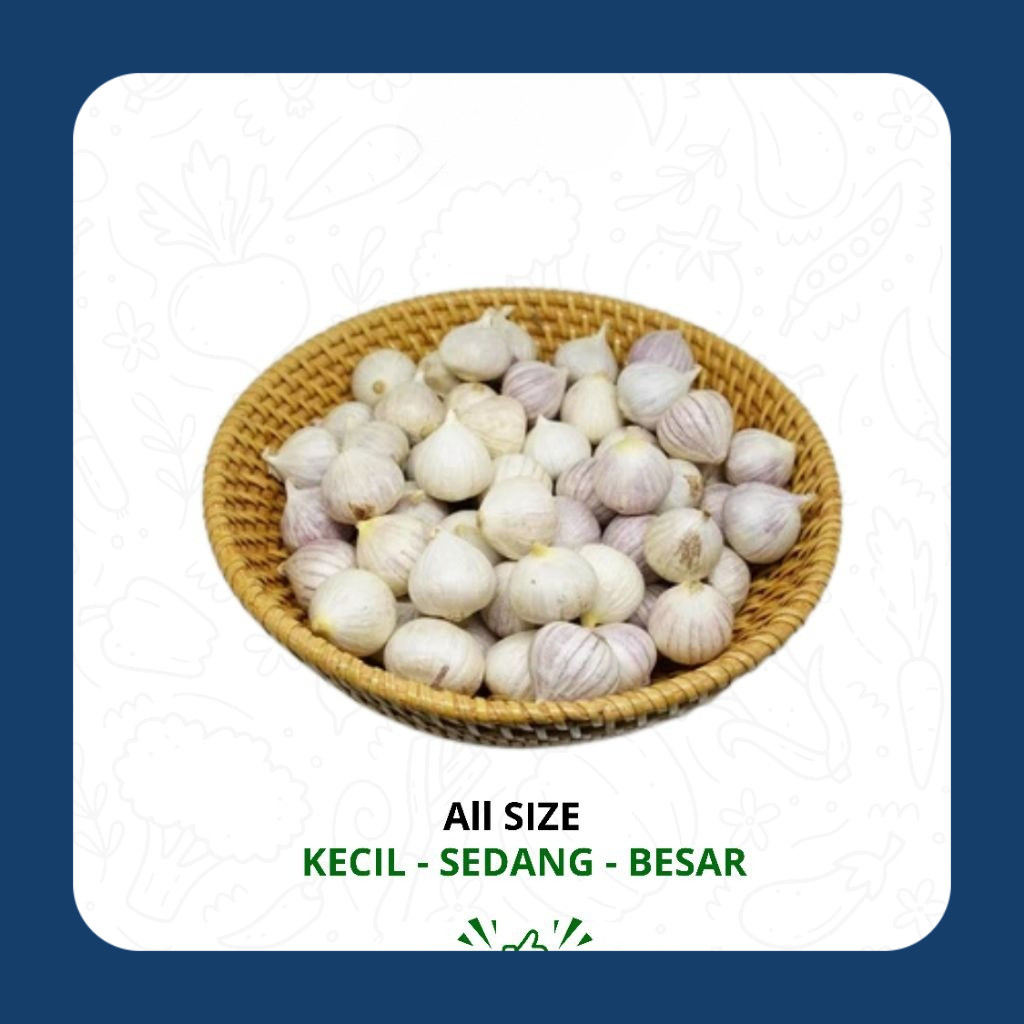 

Bawang putih tunggal import | Bawang putih lanang | Bawang tunggal lanang herbal Super Premium Quality - Herbsspice