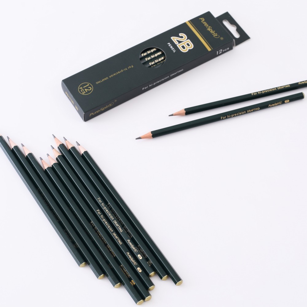 

12pcs 2B Graphite Professional Drawing Pencils Sketch Pencil Black Lead Pencils for Sketching