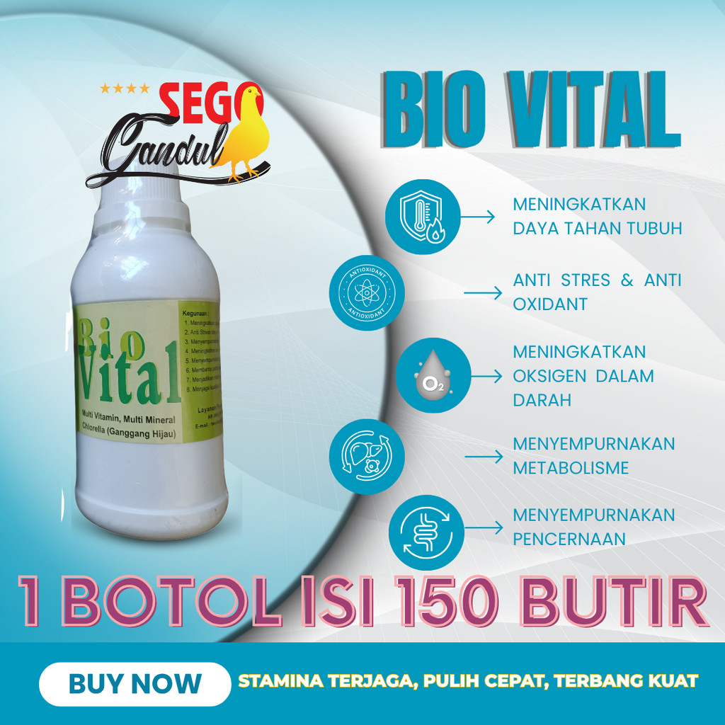 Aristol Bio Vital Biovital Multivitamin Ganggang Hijau Merpati 1 botol 150 capsule
