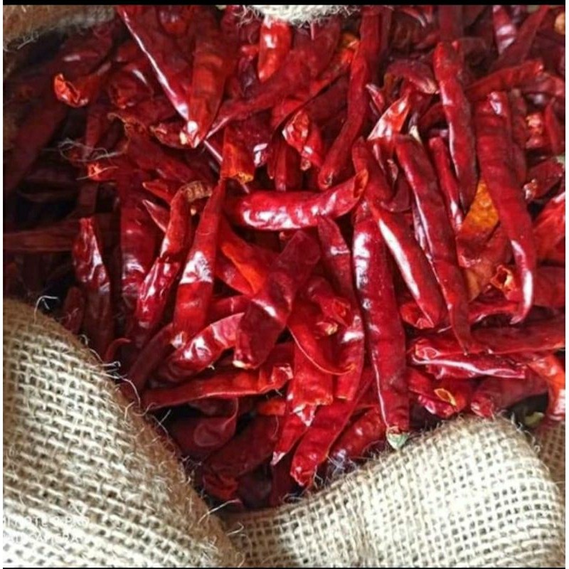 

PROMO CABE TEJA 1 KG PACKING RAWIT CABE CAPLAK KWALITAS SUPER PEDAS