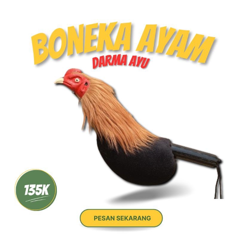 gj74ry Alat Latihan BONEKA AYAM ADUAN Murah Bulu Asli dan Bulu Woll Ayam Bangkok Thailand