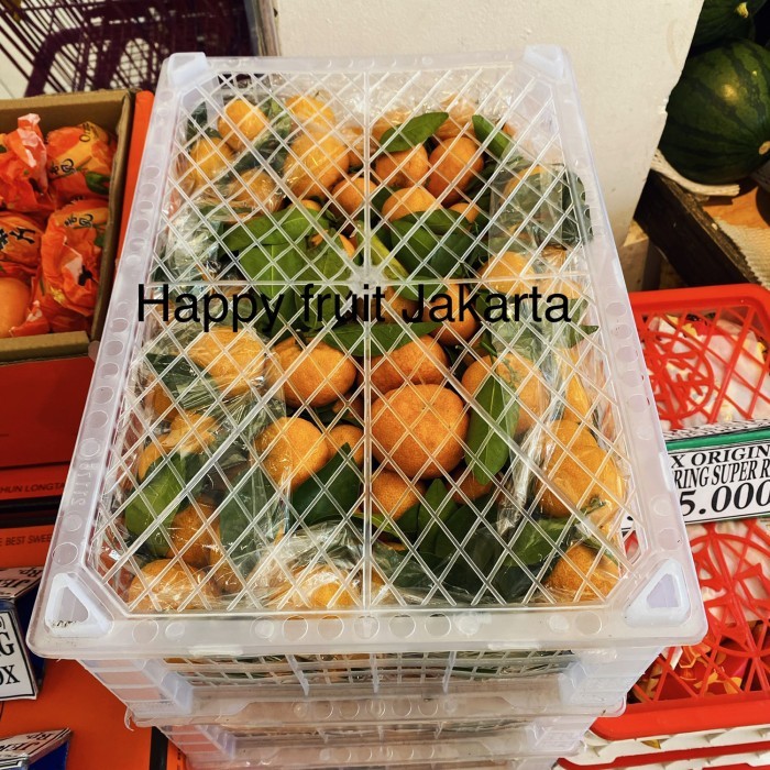 

Jeruk shatang asli keranjang | jeruk santang tampa biji fresh Box 6 kg