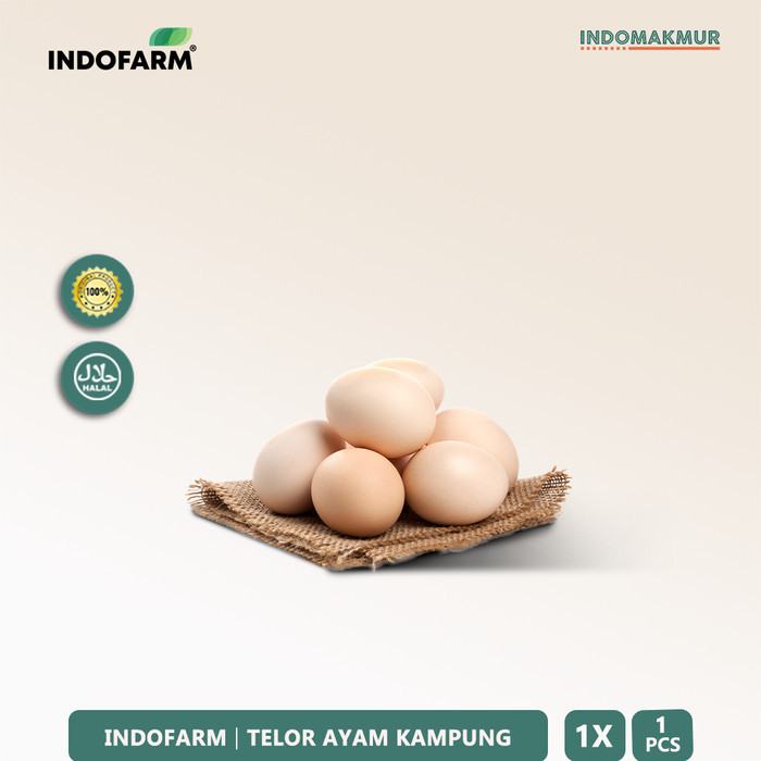 

Telur Ayam Kampung - Indofarm