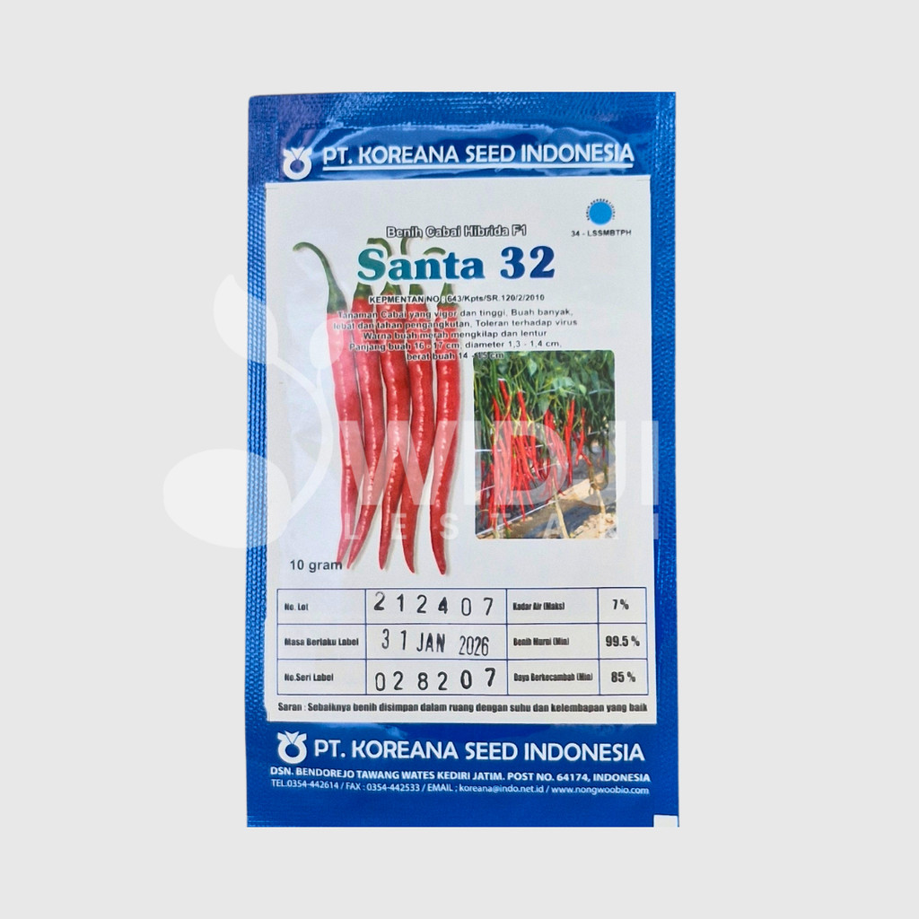 SANTA 32 10gr Benih Cabe Besar Original KOREANA SEED Bibit CMB Hibrida Vigor dan Tinggi