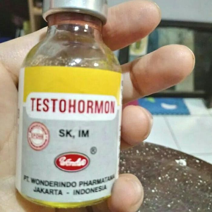TESTOHORMON - Hormon untuk pejantan