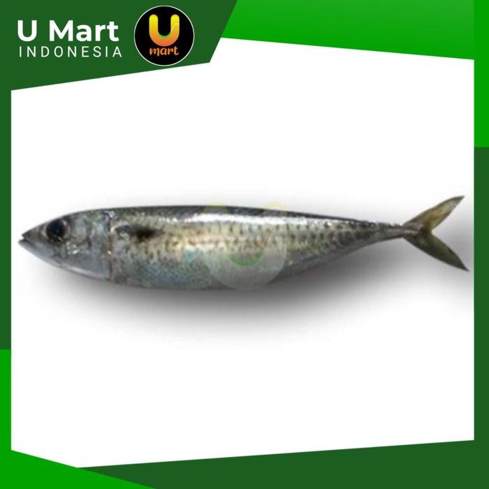 

U Mart - Ikan Salem Segar 1 kg Salem Fresh