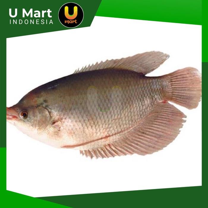 

U Mart - Ikan Gurame Segar 1 kg Gurami Fresh