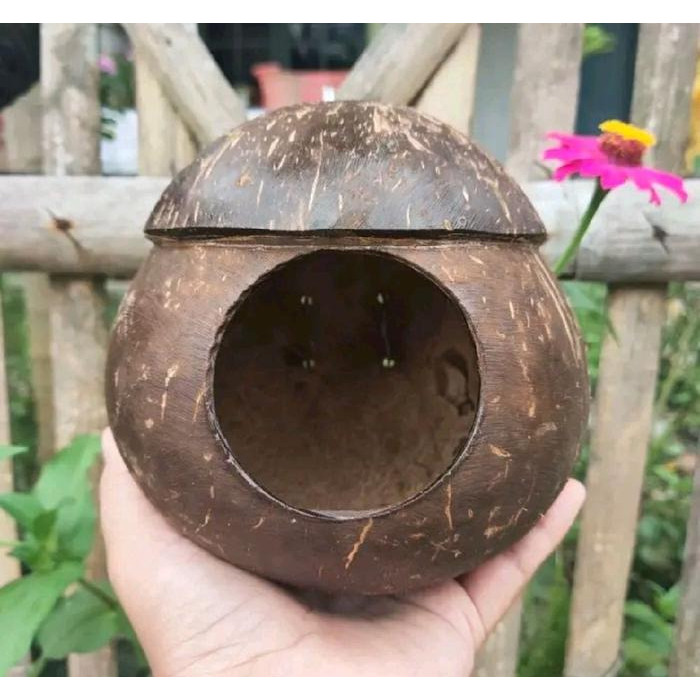 GLODOK BATOK RUMAH BURUNG KENARI LOVEBIR MURAI BATU TERMURAH