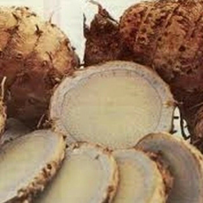 

Temu hitam segar- temu ireng fresh 1 kg M_H_A