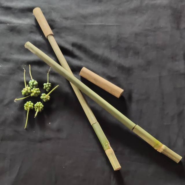 Pletokan Bambu Tembakan Bambu Tradisional Mainan anak Bebedilan