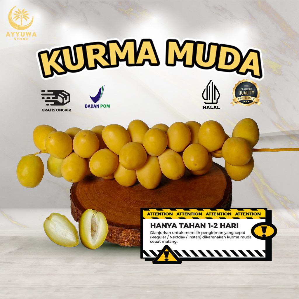 

KURMA MUDA MENGKEL SEGAR / KURMA MUDA PROMIL FRESH PREMIUM