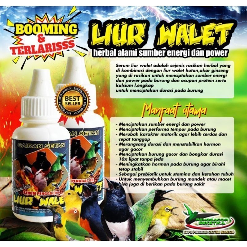 Cairan Setan Liur Walet Suplemen Vitamin Penggacor Burung Supplement Burung Terlaris dan Ampuh