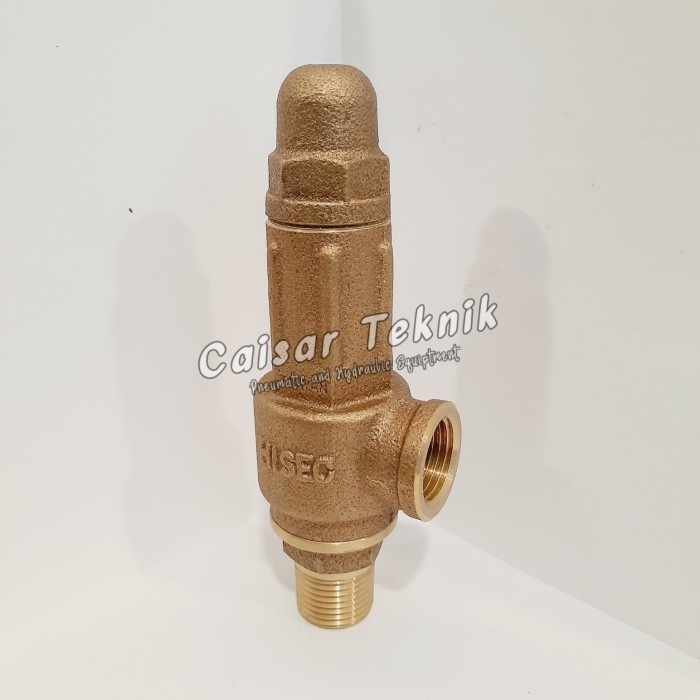 Safety Valve 3/4" inch 10kg MFW.A Hisec
