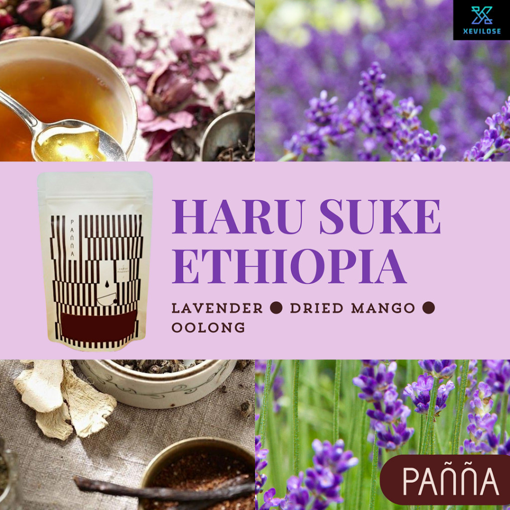 

Kopi Haru Suke Ethiopia Winner Taste Of Harvest specialty arabika