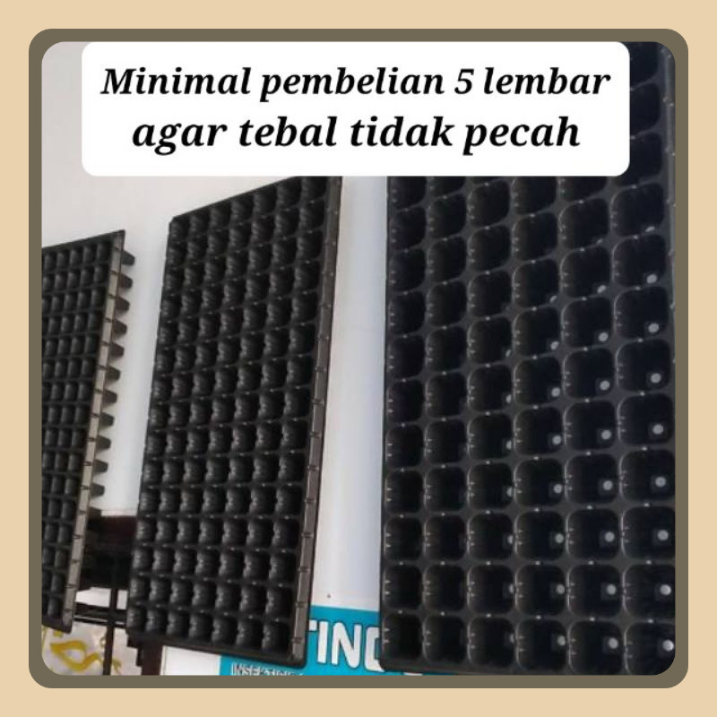 Tray Semai sayuran Hortikultur 200 162 128 105 dan 72 lubang. Nampan pot bibit benih cabai cabe toma