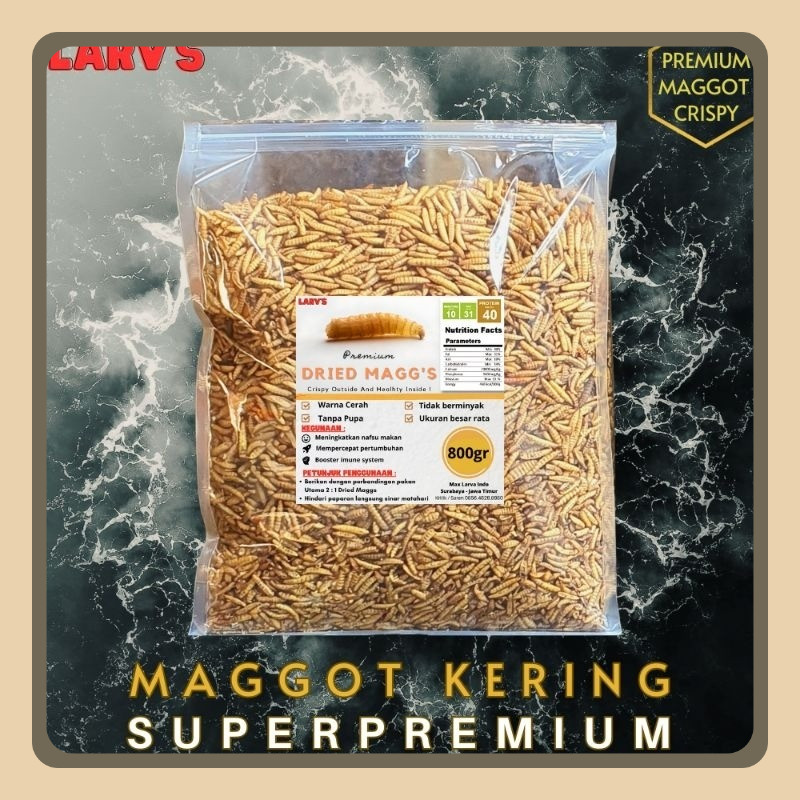 Maggot BSF Dried Larva MAGMA A