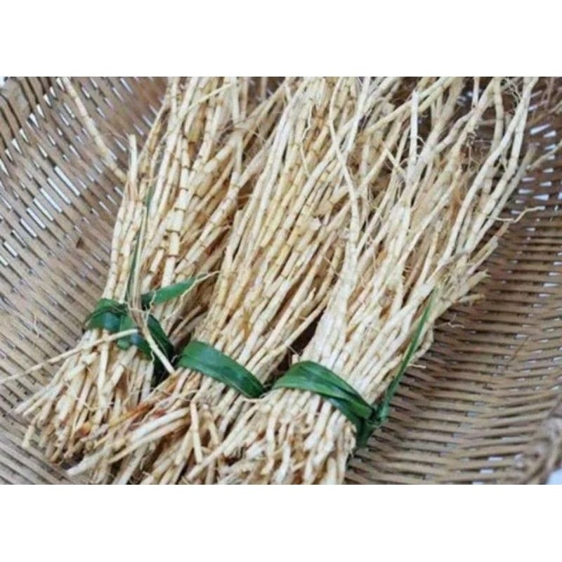 

Akar Alang Alang,akar ilalang segar 500 gram Lestari-Desaku