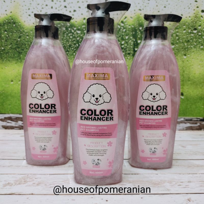 red brown poodle dog shampoo organic 600ml red poodle shampo anjing puppy