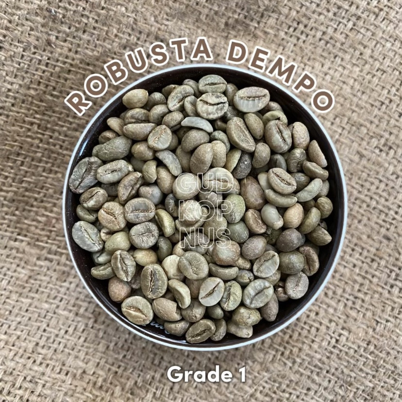 

Green Bean Robusta Dempo Natural Grade 1 - Biji Kopi Mentah 1kg by Jaad Coffee