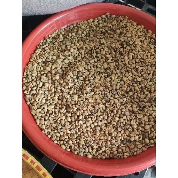 

Greenbean Dampit Robusta Sisa Sortasi Kopi G1 (Bebas Benda Asing dan Kulit Kopi)