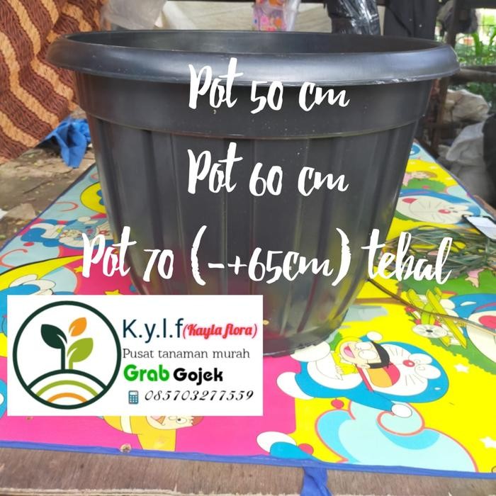 pot plastik besar / pot hitam plastik besar / pot tanaman / pot bunga - hitam 50