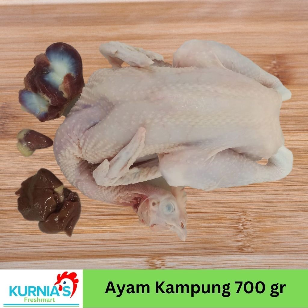 

NEW Ayam Kampung Utuh 700 sd 899 gr - Daging Ayam Kampung Berkualitas, Halal PREMIUM