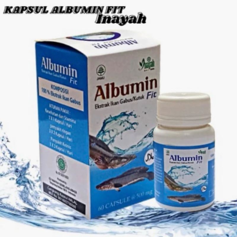 ALBUMIN FIT KAPSUL ALBUMIN  KAPSUL IKAN GABUS OBAT LUKA MEMPERCEPAT PENYEMBUHAN LUKA PASCA OPERASI