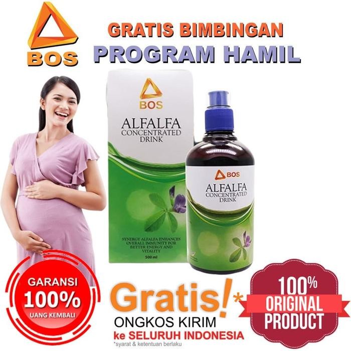 Alfalfa - Alfalfa Herbal BEE - Alfalfa ORIGINAL 100%