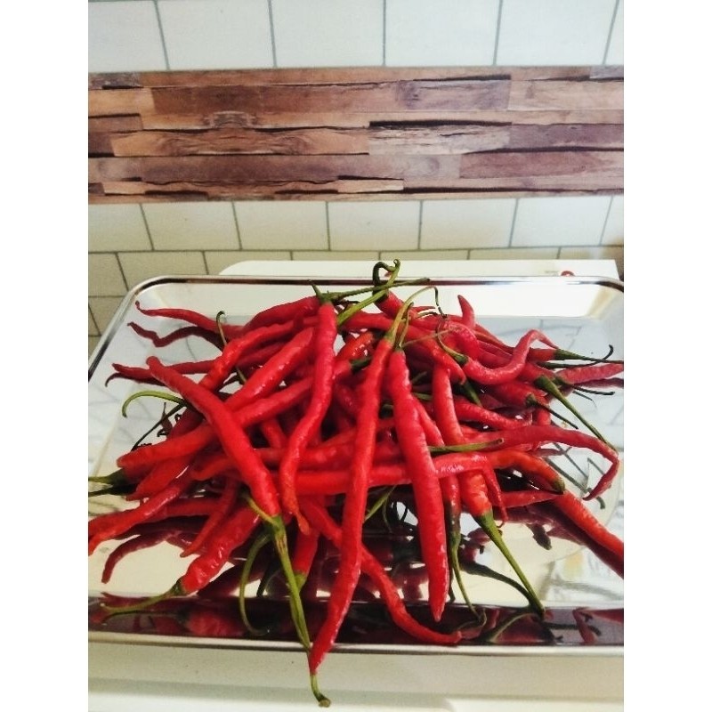 

Cabe / Cabai keriting Merah 1kg