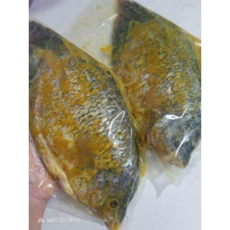 

Ikan Gurame / Gurame Bumbu Kuning - 350 gram Isi 1 Ikan