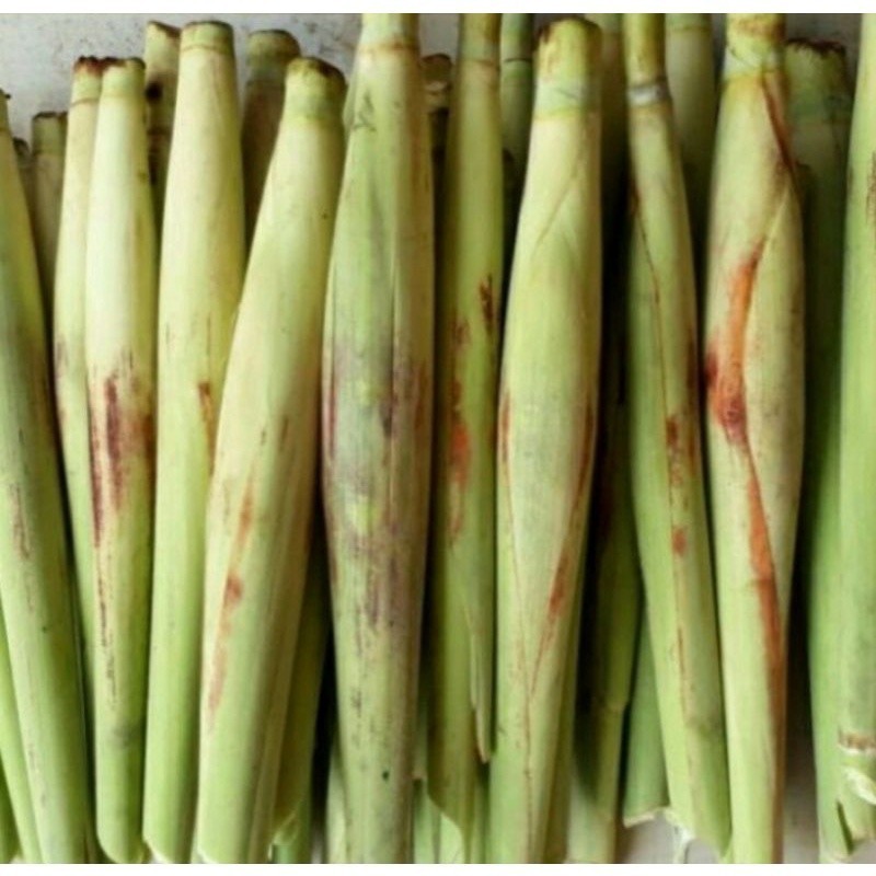 

#Terubuk sayur dengan telur super besar, harga satuan #terlaris