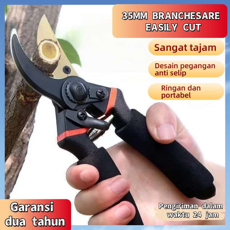 

Gunting Tanaman / Gunting Tanaman / Gunting Pemangkasan Pohon Bahan SK5 / Gunting Berkebun Taman